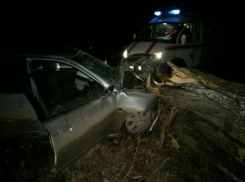 Водитель на опасном повороте вылетел с дороги и угодил в дерево на Кубани 
