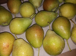 Где купить свежие фрукты и овощи напрямую от производителя