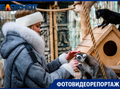Лемуры, кенгуру и гиены: как уникальные животные переносят зиму в Краснодаре 