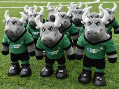  ФК «Краснодар» оказался убыточным 