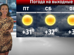 В Краснодаре ожидается 35-градусная жара