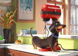 В кинотеатре «МОНИТОР IMAX СБС»  состоялся предпремьерный показ мультфильма «Тайная жизнь домашних животных»