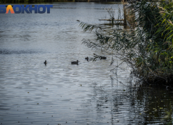 Начало весны принесет дожди в Краснодар