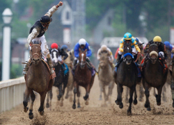 Открытие юбилейного скакового сезона стартует в Краснодаре