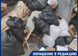 Жители Краснодара обратились к властям из-за мусорного бардака