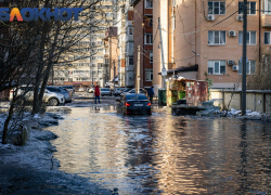 Глава СКР Бастрыкин взял на контроль обращение жителей Музыкального микрорайона 