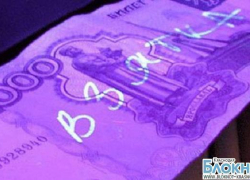 В Новороссийске оштрафовали ветеринарного врача