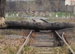 Движение поездов в Сочи остановлено из-за упавших на железную дорогу деревьев