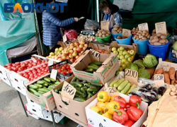 После Нового года в Краснодарском крае подняли цены на мясо и овощи 