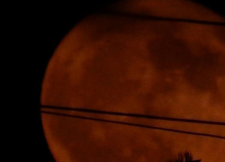 Редкая «клубничная» Луна озарила небо Краснодара 