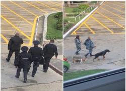 Стало известно, кто «минировал» краснодарские вузы