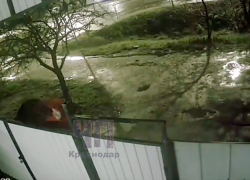 Неизвестный измазал окна кровью в Краснодарском крае