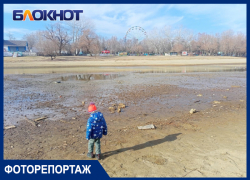 В Краснодаре на Затоне пересохла река Кубань: фото и видео
