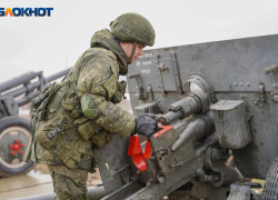 Сторонница инагента Ходорковского раскритиковала Стрелкова за слова о планах Украины идти на Кубань