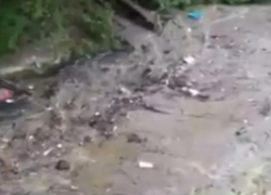 Сочинец спас от смерти пару, которую смыло в реку грязевым потоком