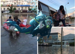 «Здесь рыбы нет»: будни водоплавающих краснодарцев