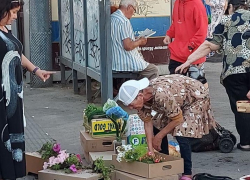 В Краснодаре продают на рынках сорванные в скверах цветы