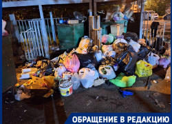 Горы мусора захватывают проезжую часть в Краснодаре