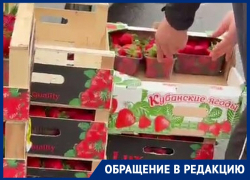 «Импорт выдают за местную клубнику»: в Москве застали врасплох торговцев «кубанской» ягодой