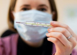 184 новых случая заражения коронавирусом выявили на Кубани 13 декабря 