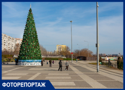 Нарядные ёлки посреди асфальта: Краснодар украсили к Новому году