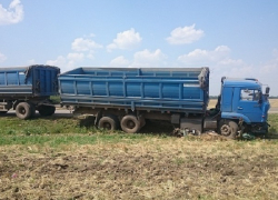 На Кубани КамАЗ протаранил легковушку, погиб мужчина 
