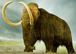 «Живые» мамонты и динозавры появятся в Краснодаре