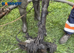 Парковочный столб достали из канализации в Краснодаре