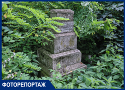 Туризм на костях Всесвятского кладбища: хранилище истории Краснодара с легендами о ведьме и Фанни Каплан