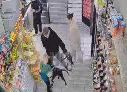 Александр Бастрыкин поручил проверить нападение собаки на ребенка в магазине в Краснодаре