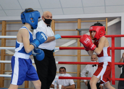 На Кубани проведут краевой турнир по боксу