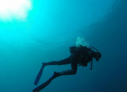 По факту гибели ученой-дайвера на Кубани возбудили уголовное дело