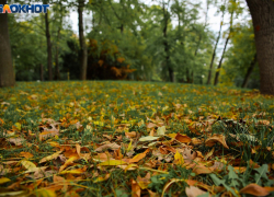 Золотая осень: в Краснодаре потеплеет до +19 градусов