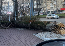 В Краснодарском крае ждут решений от чиновников по дальнейшей борьбе с непогодой 