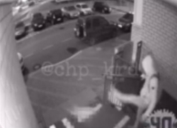 Краснодарцев шокировало видео жестокого убийства кота