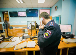 Полиция Краснодара ищет раздавившего котенка ребенка