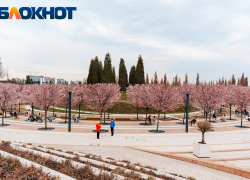 Клиенты билайн сделали 5 млн фото во время цветения сливы, сакуры и магнолии в парке «Краснодар»