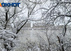 Ветрено и морозно будет в Краснодаре сегодня 