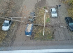 В Краснодаре из-за сильного ветра дерево рухнуло на три автомобиля
