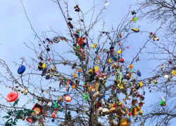  Динозавр на дереве в Краснодаре свил гнездо 