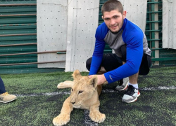 Хабиб Нурмагомедов встретился с поклонниками в Краснодаре