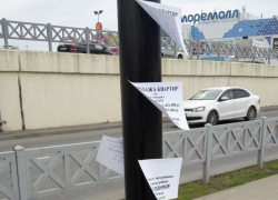 Листовки на столбах довели сочинцев «до ручки»