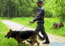 В Успенском районе нашли заблудившегося в лесу пенсионера