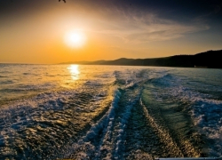 Катера из Сочи в Крым: Цена проекта под большим вопросом