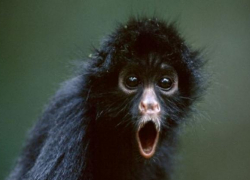 «Все пропало»: алкоголь не будет продаваться рядом с больницами в Краснодарском крае