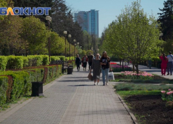 В Краснодаре потеплеет до +23 градусов в конце рабочей недели