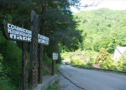 Своего кандидата в руководители нацпарка Сочи предложило Общество охраны природы