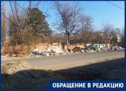 Стаи бродячих собак около разрастающейся свалки пугают жителей Краснодара