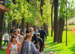 Внезапная жара накроет Краснодар в начале октября