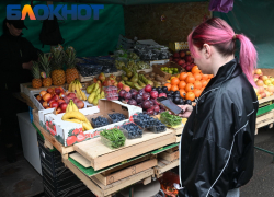 «Королем» по количеству ярмарок объявили Краснодарский край